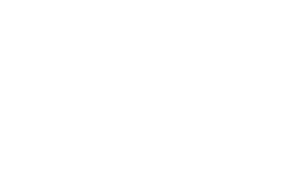 Arachne Logo